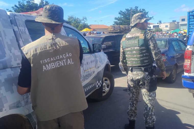 Operação contra tráfico de animais silvestres resgata mais de 70 aves e apreende cerca de 100 gaiolas em Vitória da Conquista