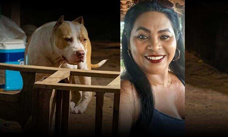 Polícia investiga morte de mulher atribuída a ataque de pitbull e apura possibilidade de feminicídio no Maranhão